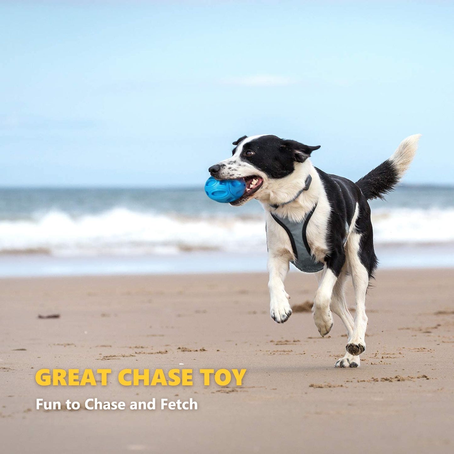 Dog Toys Rubber Sounding Dog Ball