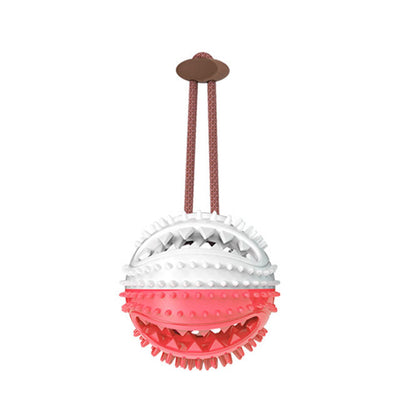 Pet Chew Bite Tooth Cleaning Toothbrush Toy