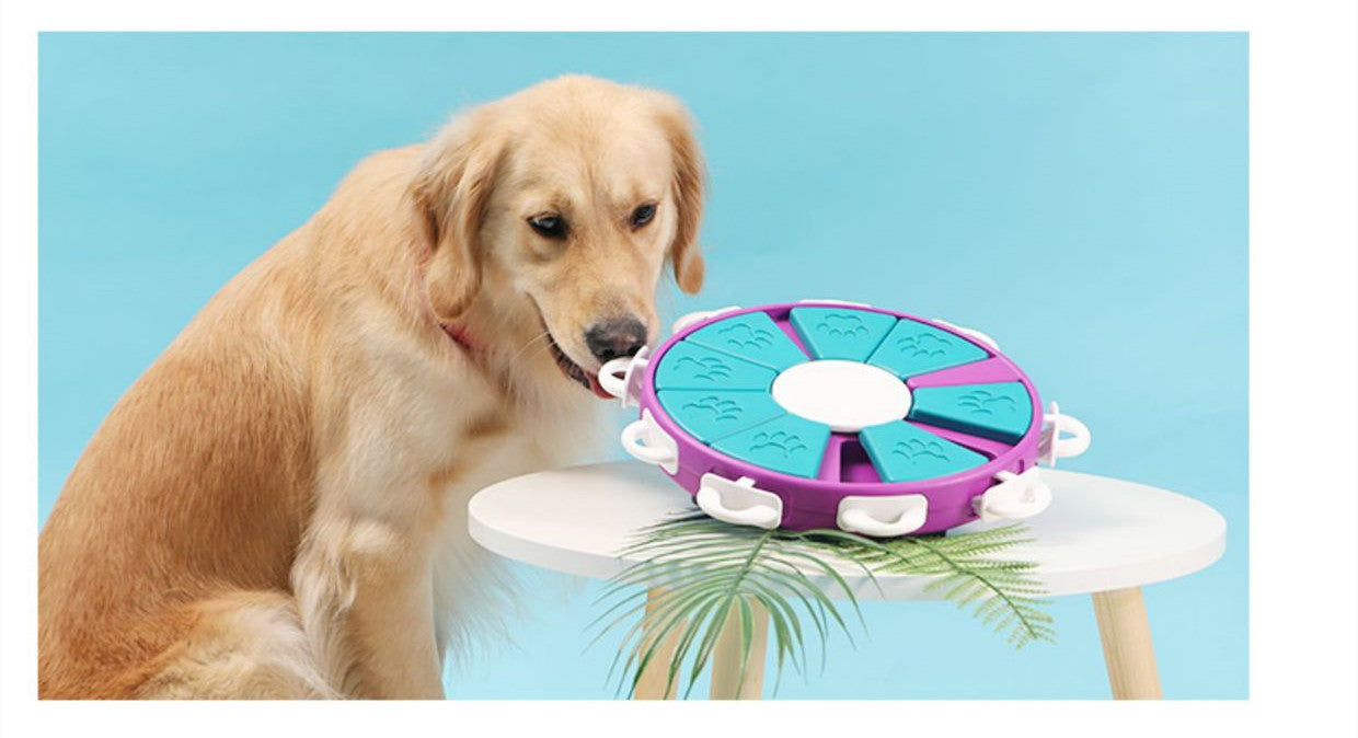 Dogs Food Dispenser & Training Games