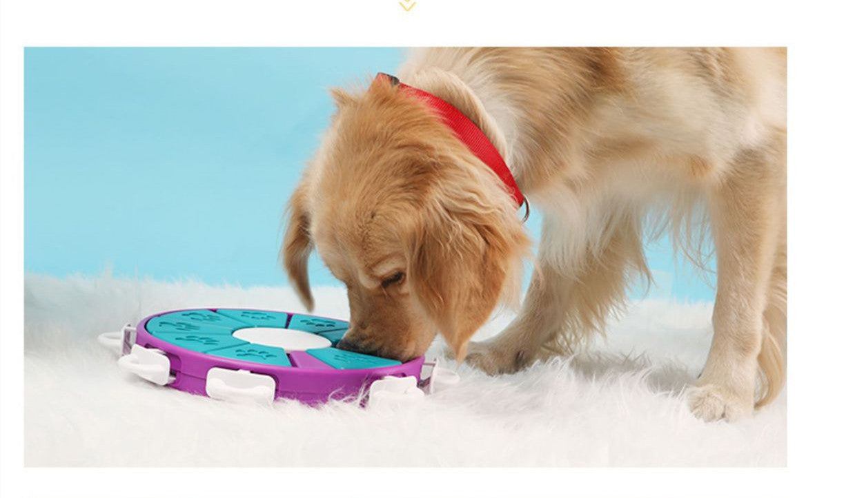 Dogs Food Dispenser & Training Games