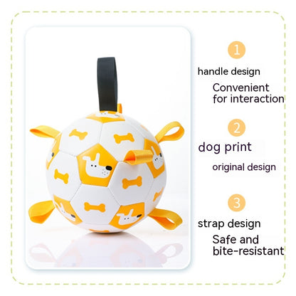 Dog Outdoor Training Balls