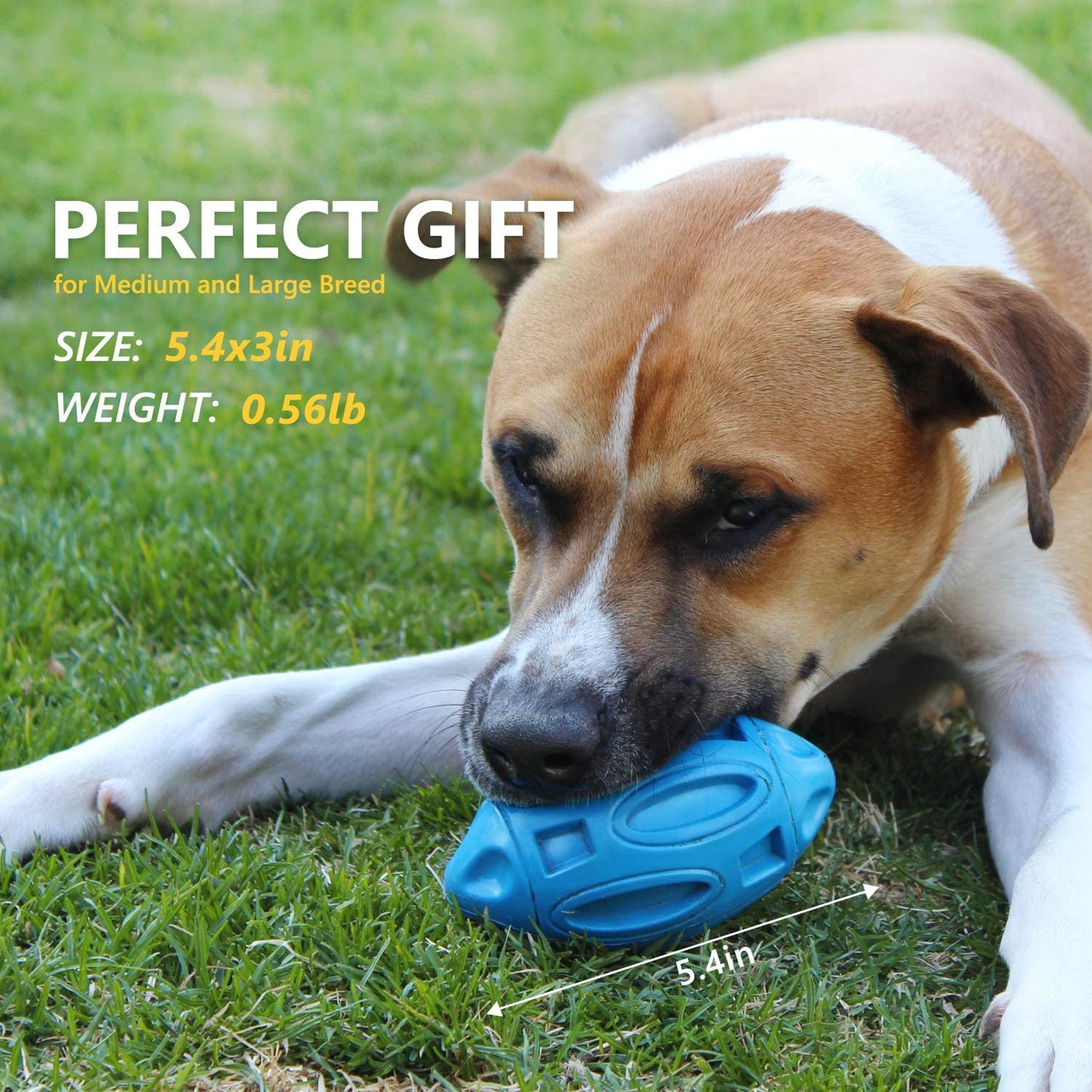 Dog Toys Rubber Sounding Dog Ball