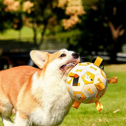 Dog Outdoor Training Balls