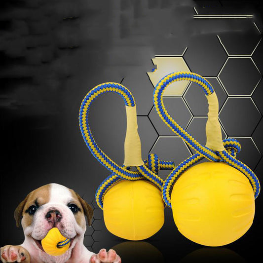 EVA Floating Pet Dog Training  Ball