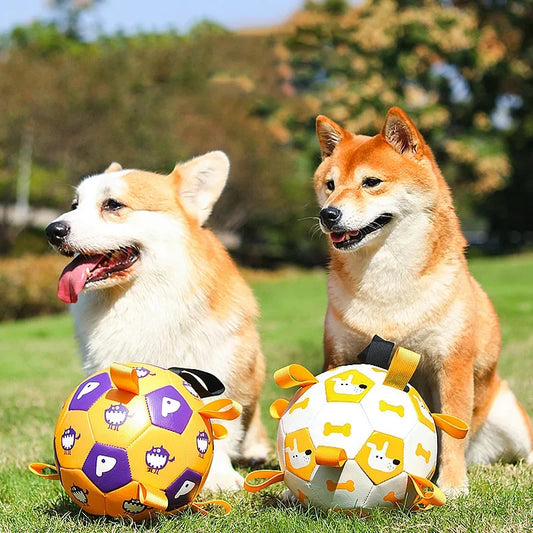 Dog Outdoor Training Balls