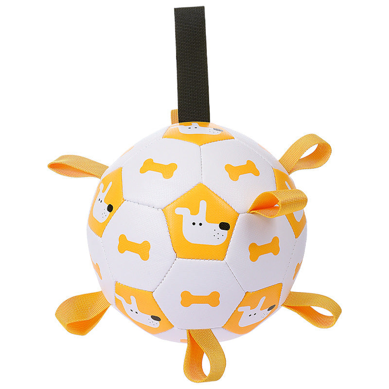 Dog Outdoor Training Balls