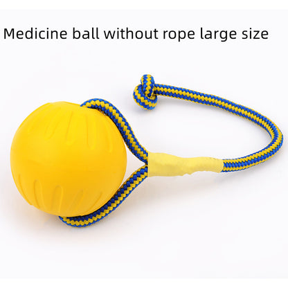 EVA Floating Pet Dog Training  Ball
