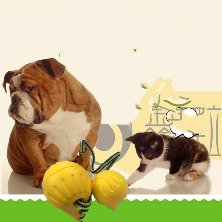 EVA Floating Pet Dog Training  Ball
