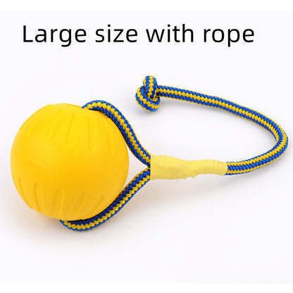 EVA Floating Pet Dog Training  Ball