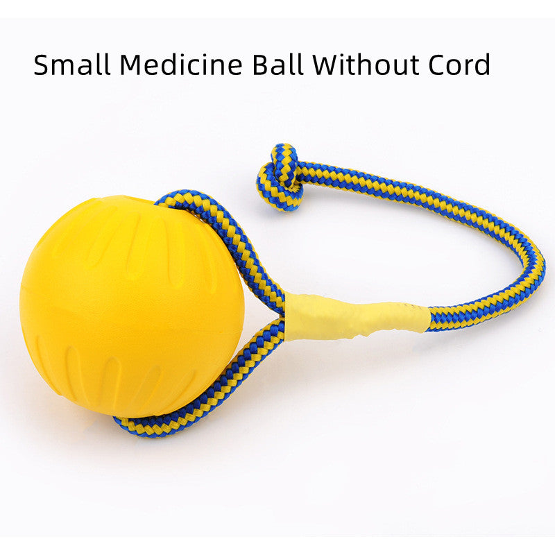 EVA Floating Pet Dog Training  Ball