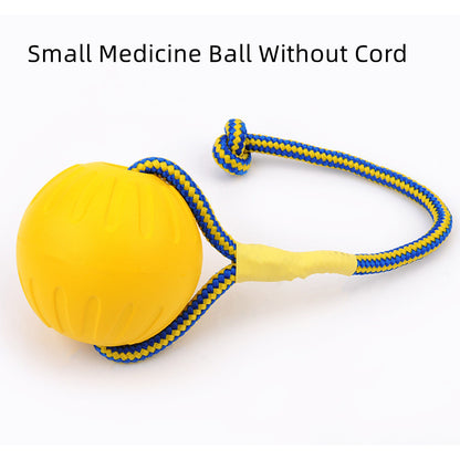 EVA Floating Pet Dog Training  Ball