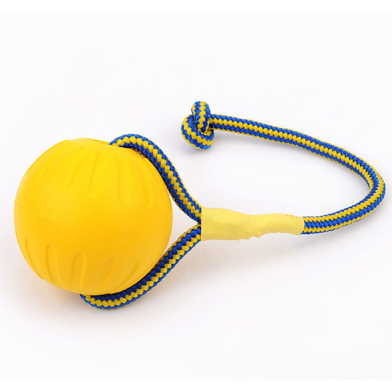 EVA Floating Pet Dog Training  Ball